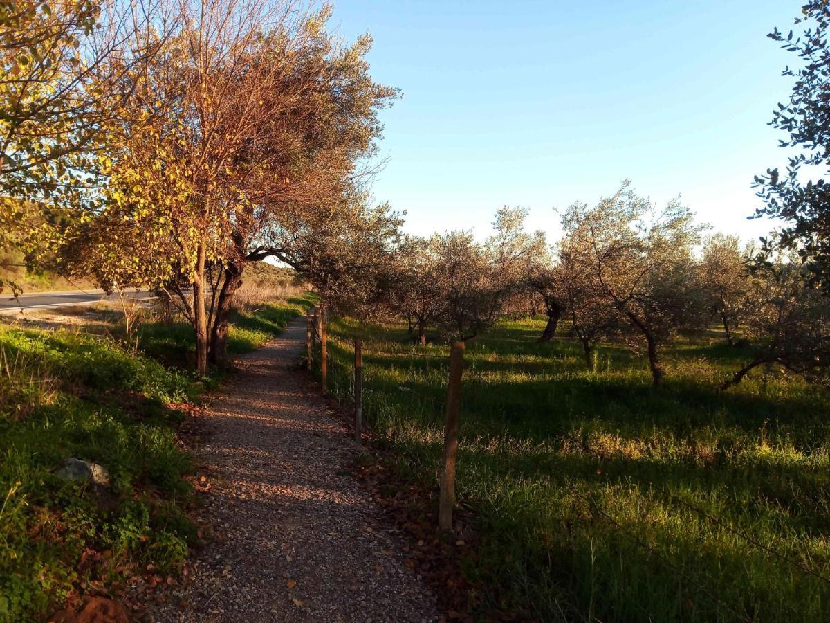 Casa Rural El Palomar El Pedroso Dış mekan fotoğraf