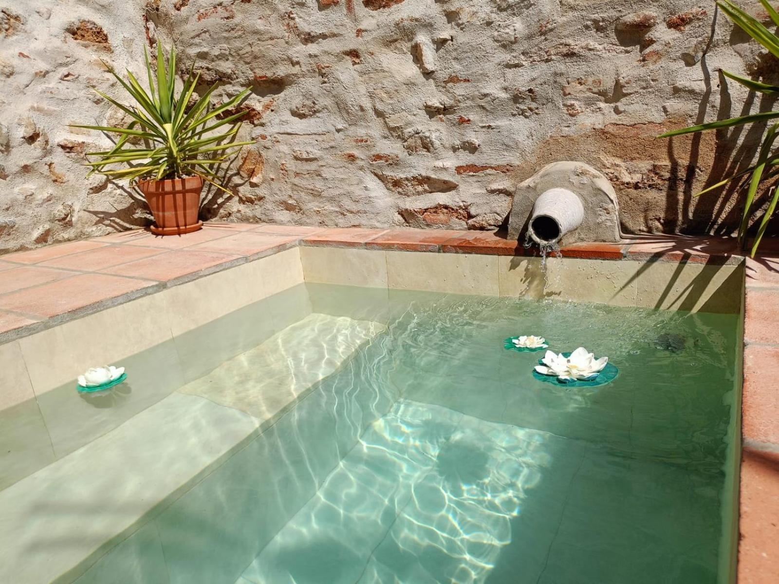 Casa Rural El Palomar El Pedroso Dış mekan fotoğraf